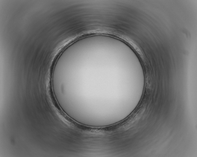 X0000114570437200910191037