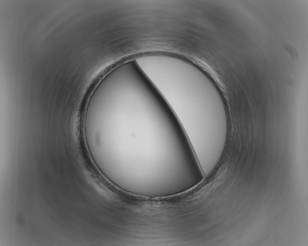 X0000114570439200910191037