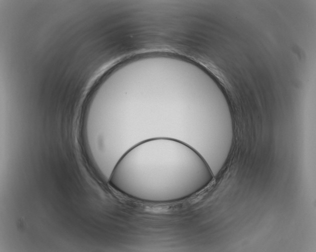 X0000114570440200910191037