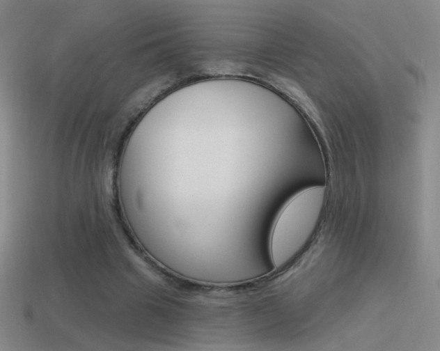X0000114570441200910191037