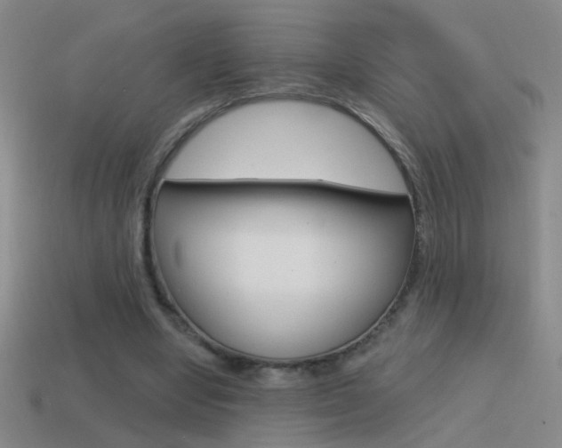 X0000114570442200910191037