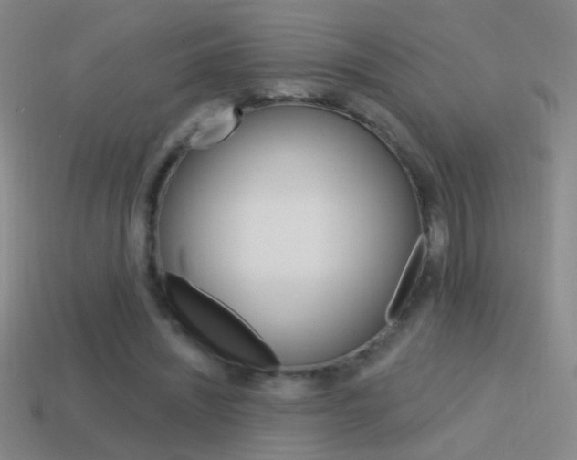 X0000114570444200910191037