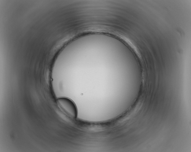 X0000114570445200910191037