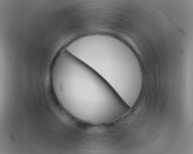 X0000114570447200910191037