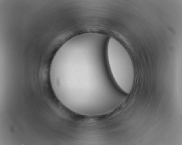X0000114570451200910191037
