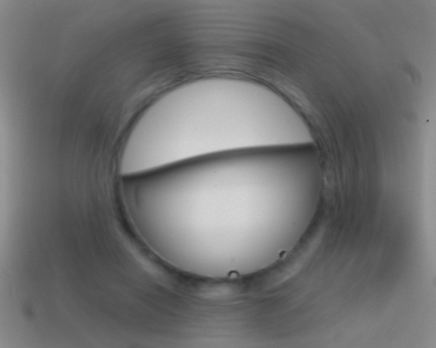 X0000114570454200910191037