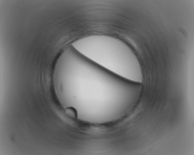 X0000114570455200910191037