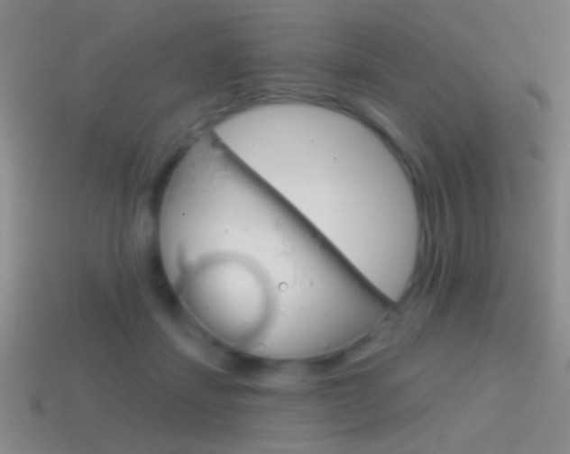 X0000114570459200910191037