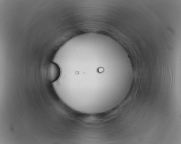 X0000114570460200910191037