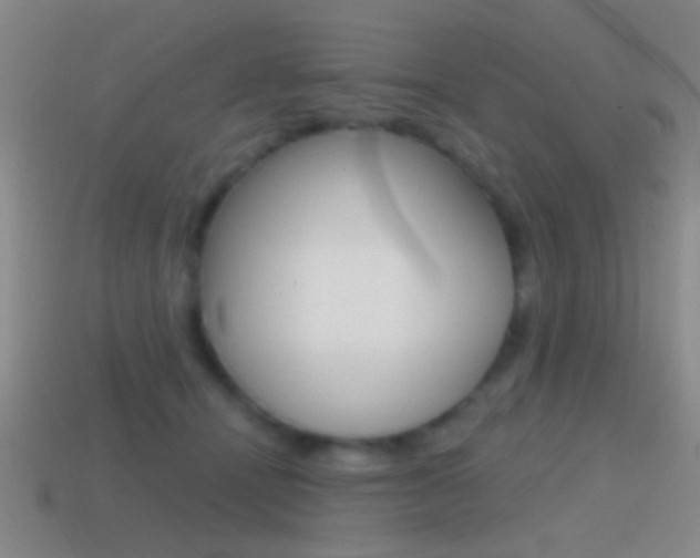 X0000114570464200910191037
