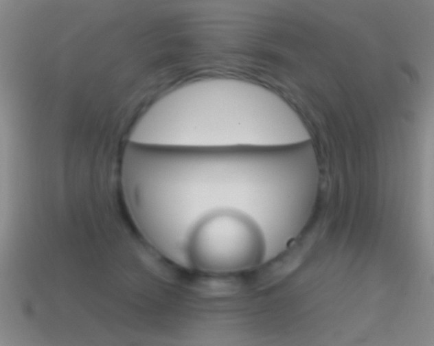X0000114570466200910191037