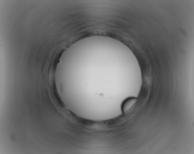 X0000114570468200910191037