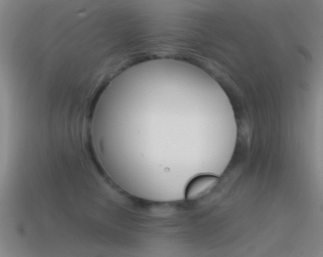 X0000114570470200910191037