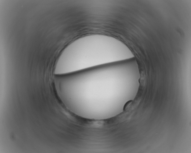 X0000114570474200910191037