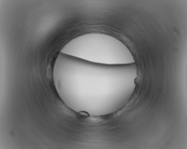 X0000114570477200910191037