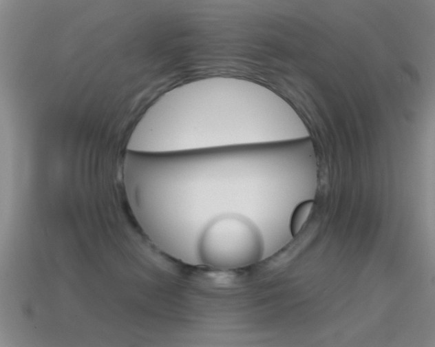 X0000114570478200910191037