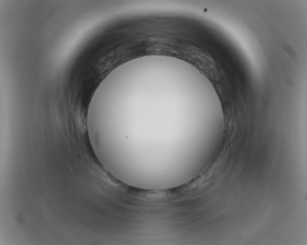 X0000114570479200910191037