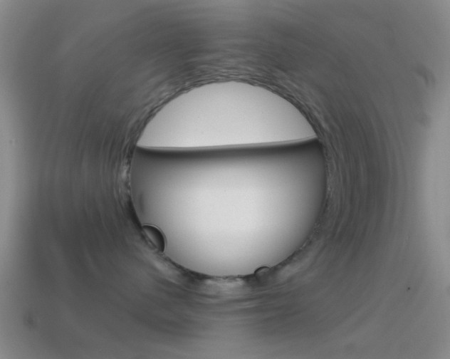 X0000114570480200910191037