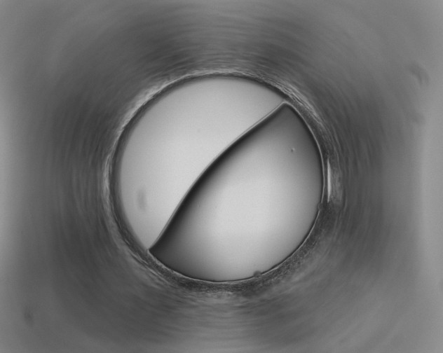 X0000114570483200910191036
