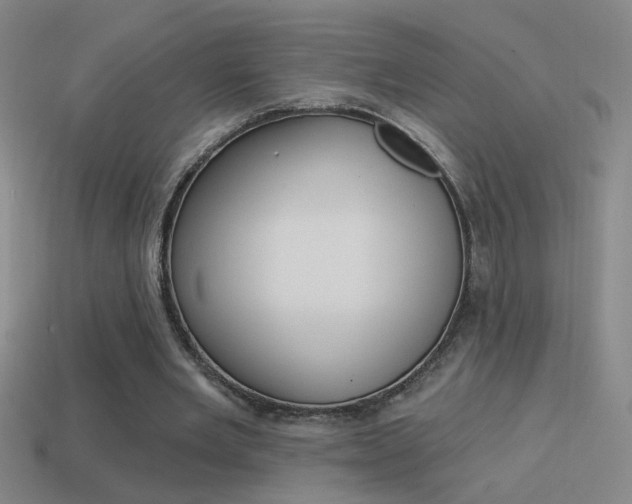 X0000114570485200910191036