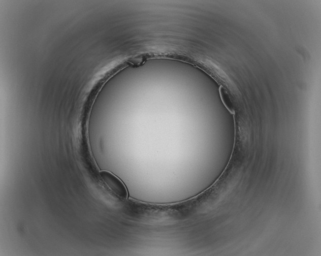 X0000114570488200910191036