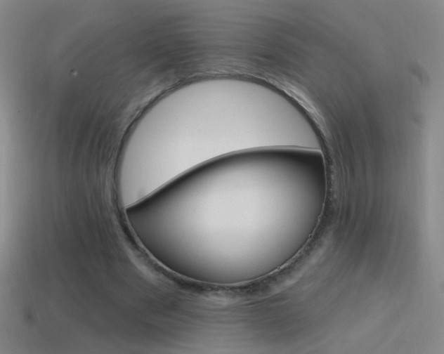 X0000114570489200910191036