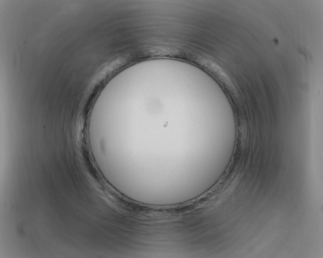X0000114570490200910191036