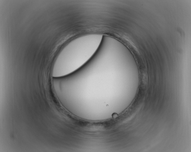 X0000114570491200910191036