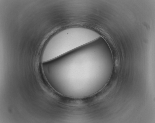 X0000114570492200910191036