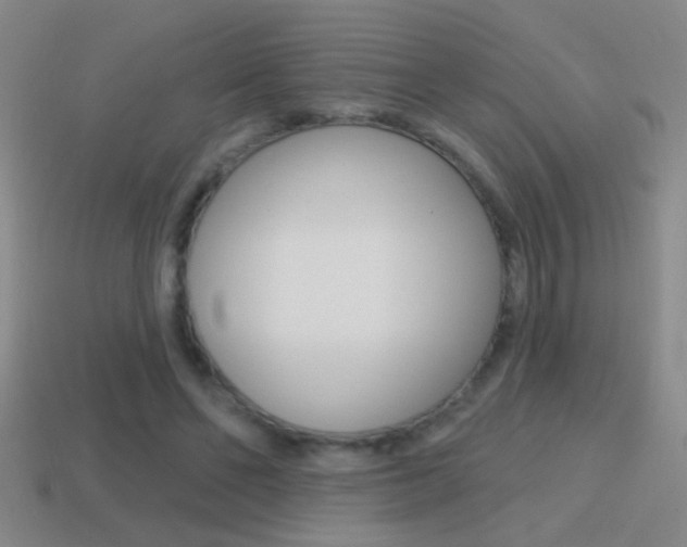 X0000114570494200910191036