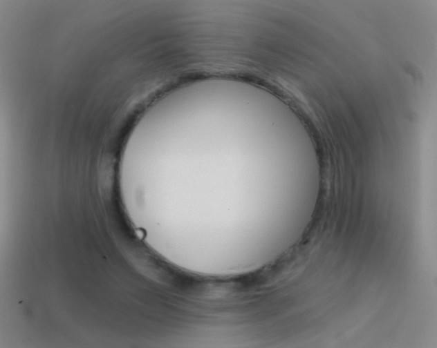 X0000114570495200910191036