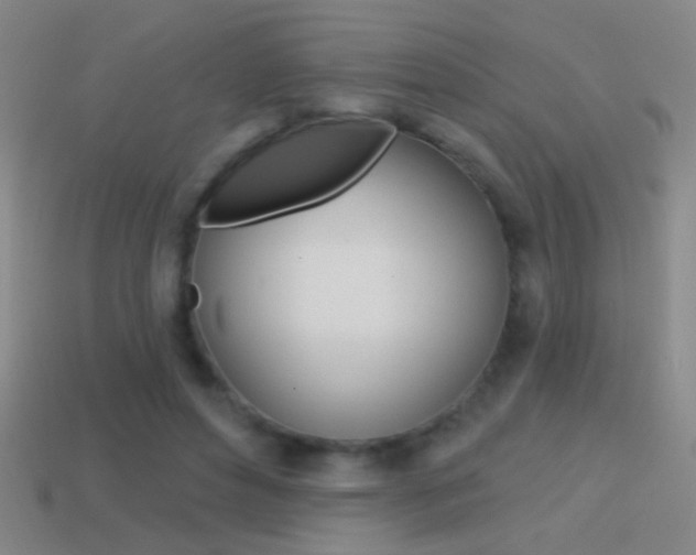 X0000114570496200910191036
