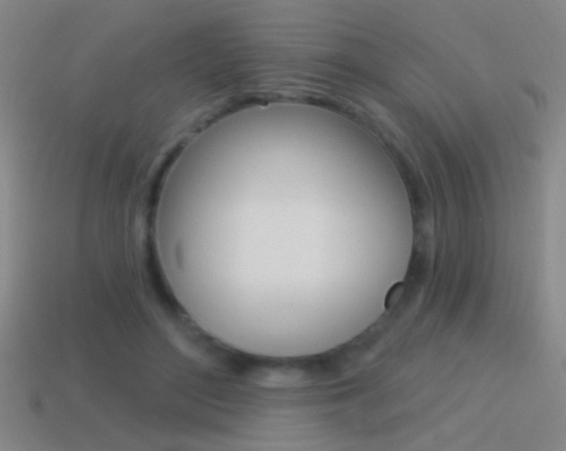 X0000114570500200910191036