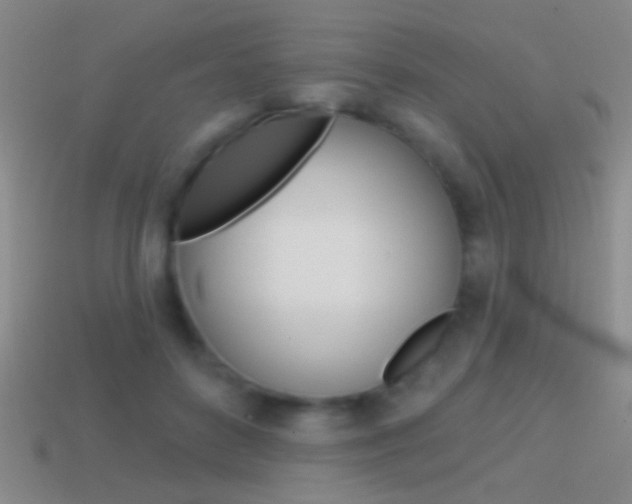 X0000114570504200910191036
