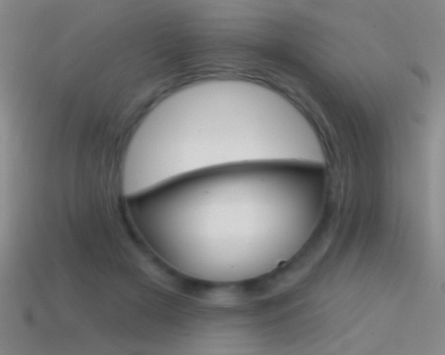 X0000114570505200910191036