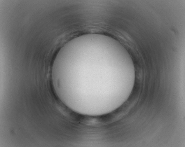 X0000114570507200910191036