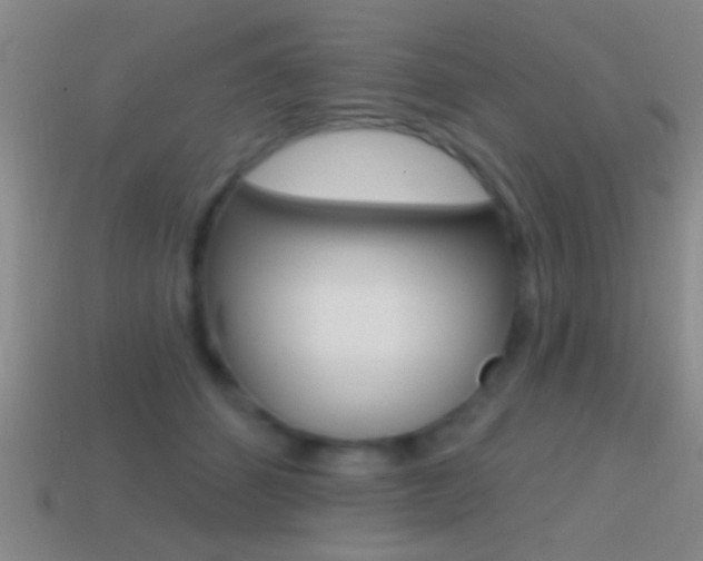 X0000114570512200910191036