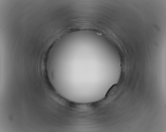 X0000114570516200910191036