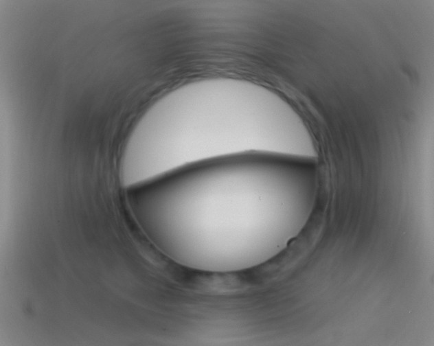 X0000114570517200910191036