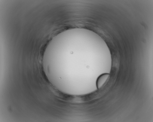 X0000114570518200910191036