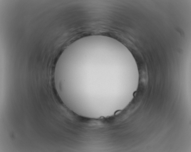 X0000114570519200910191036