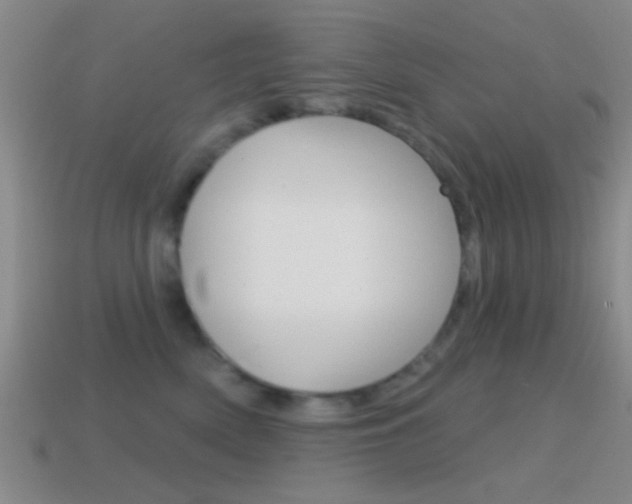 X0000114570522200910191036