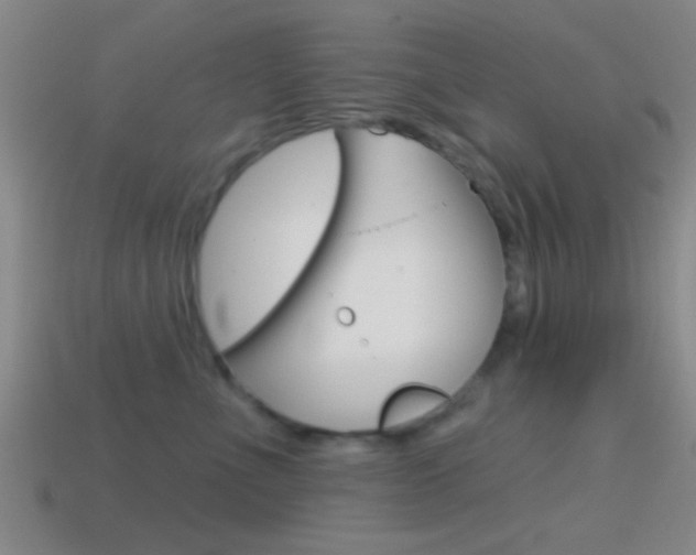 X0000114570523200910191036