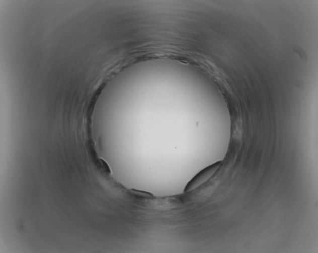 X0000114570524200910191036