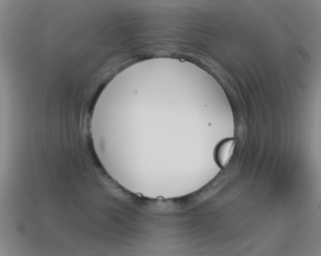 X0000114570525200910191036