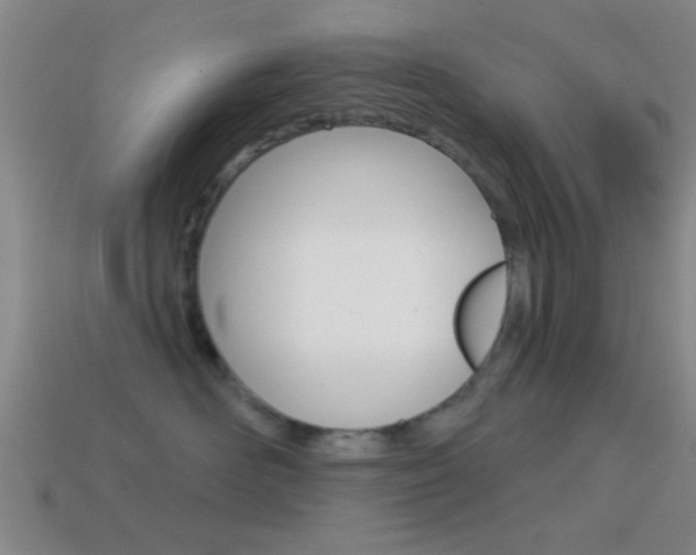 X0000114570526200910191036