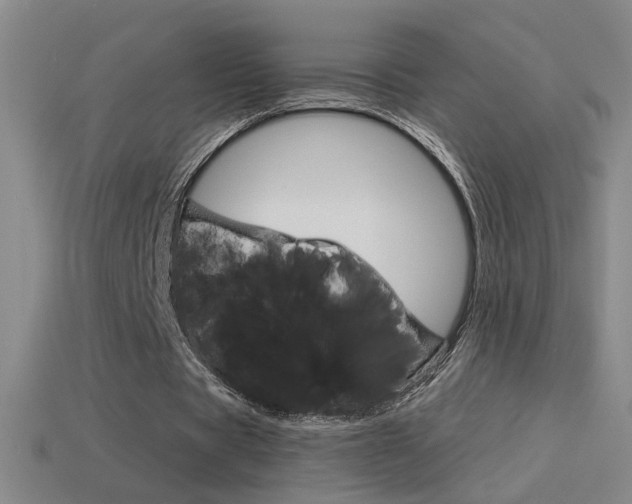 X0000114570529200910191035