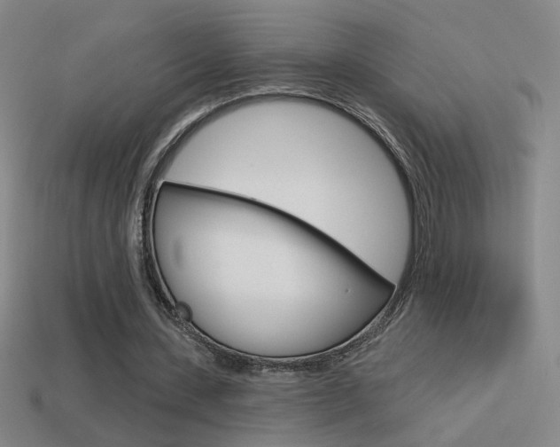 X0000114570531200910191035
