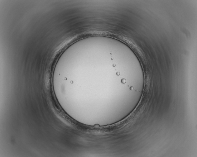 X0000114570533200910191035