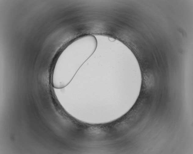 X0000114570534200910191035